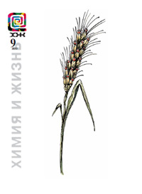 «Химия и жизнь» №9, 2010