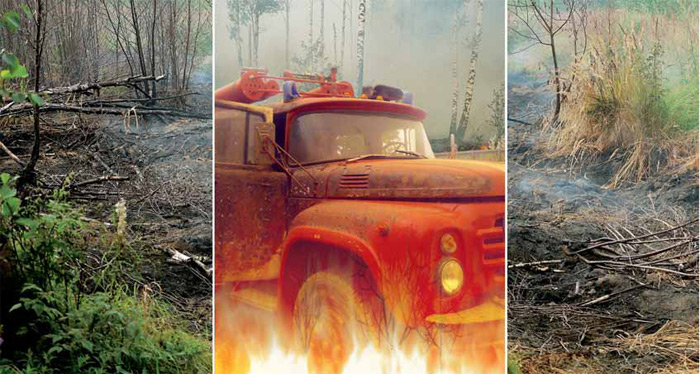 Изображение: «Экология и жизнь»