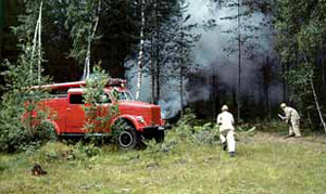 Изображение: «Экология и жизнь»