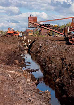 Изображение: «Экология и жизнь»