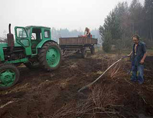 Изображение: «Экология и жизнь»