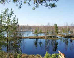 Изображение: «Экология и жизнь»