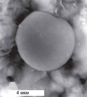 Так выглядит типичная неалмазная частица, содержащая много углерода. Фото: Allen. Изображение: «Химия и жизнь»