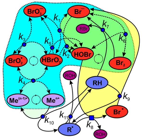 Реакция Белоусова—Жаботинского настолько сложна, что до сих пор учёные пытаются установить взаимодействие различных компонент реакции и катализаторов. Изображение с сайта dic.academic.ru