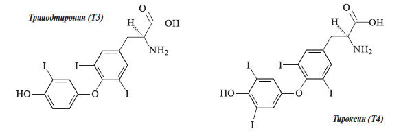 Изображение: «Химия и жизнь»