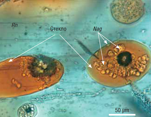В высокотемпературных минералах из паралав (плавленых пород) грязевого вулкана Наби Муса присутствуют многочисленные крупные включения силикатного расплава. Их плавление начинается при температурах 1100–1250°C, и даже при 1350°C полная гомогенизация еще не достигается. Это означает, что исходный расплав возник при более высокой температуре. Захват крупных расплавных включений — явление исключительно редкое для плавленых пород, связанных с пожарами горючих полезных ископаемых (в природных паралавах они обнаружены только во второй раз). Световая микроскопия в поляризованном свете. Фото С. Кох («Наука из первых рук»)