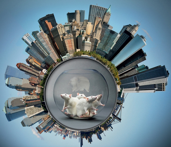 Единство живого. Выявленные аналогии между некоторыми механизмами эволюции и механизмами демографического роста могут служить доказательством единства законов, управляющих развитием всего живого на земле: от примитивных организмов до Homo sapiens. Изображение: «Популярная механика»