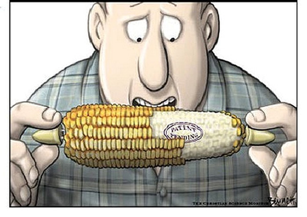 Рис. 18. Примерно так представляют защиту селекционных достижений современные карикатуристы. Изображение с сайта www.claybennett.com