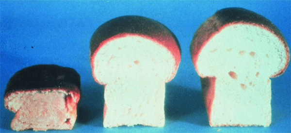 Рис. 8. Качество хлеба зависит от содержания белков клейковины — глютенов. Слева — хлеб с низким, в центре — с нормальным и справа — с повышенным содержанием глютенов. Изображение: «Потенциал. Химия. Биология. Медицина»