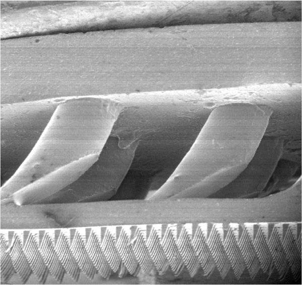 Микроструктура ворсинок «гекко-скотча», разработанного в Стэнфордском университете. Фото получено с помощью электронного микроскопа. Фото с сайта bdml.stanford.edu