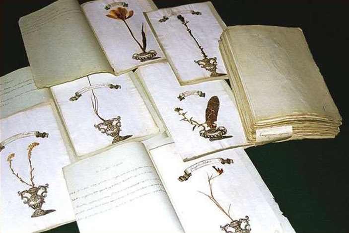 Первый русский гербарий, собранный лейб-медиком Петра Великого Робертом Карловичем Арескиным