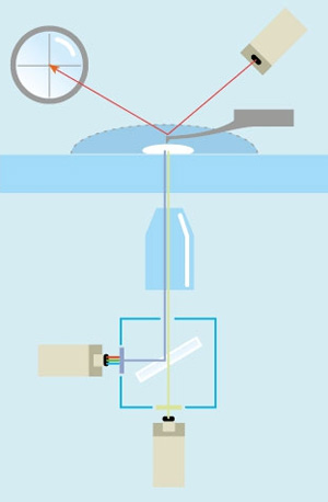 На схеме показано устройство одного из типов атомного силового микроскопа для исследования живых тканей