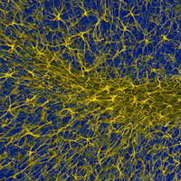 Огоньки под ногами