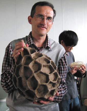 А. Чернышев