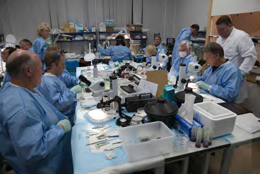 ...Где их ждали коллеги, готовые сразу же начать анализ экспрессии генов у подопытных животных. Ведь чем раньше это удастся сделать, тем меньше будет изменений по сравнению с невесомостью