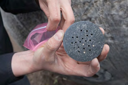 Во вскрываемом блоке находятся кусочки базальта, внутри которых помещены споры микроорганизмов и лишайников. Во время спуска сквозь атмосферу они нагревались до такой же температуры, как если бы находились в метеорите. Если окажется, что споры сохранили жизнеспособность, то идея панспермии получит неплохую поддержку. А если нет — будут новые опыты