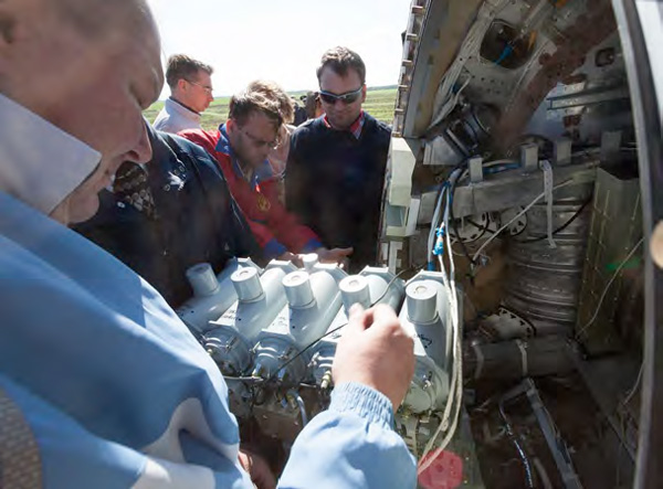 Здесь живут мыши