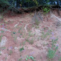 Брекчии Пучеж-Катунской астроблемы