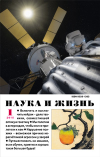 «Наука и жизнь» №1, 2015