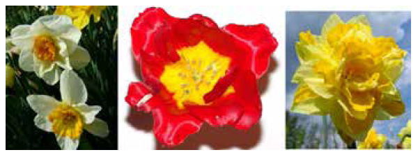 Модель растения