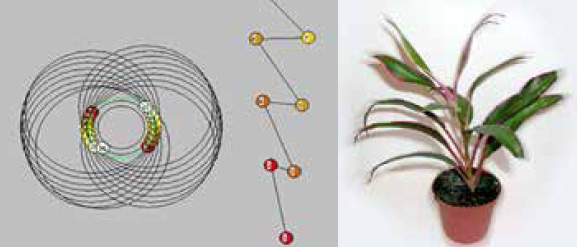 Модель растения