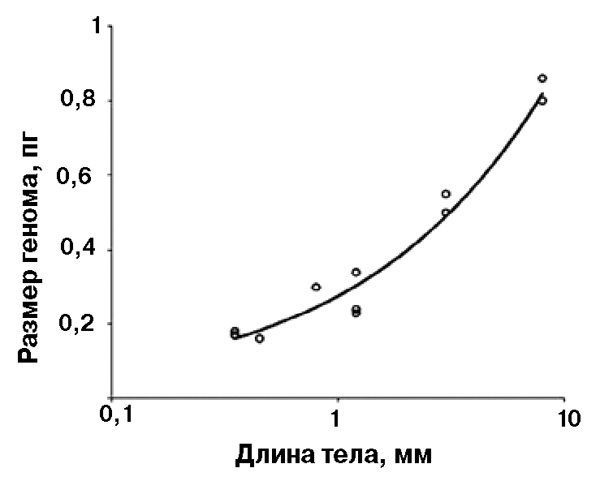 <b>Рис. 9.</b> Размер генома насекомых уменьшается при миниатюризации