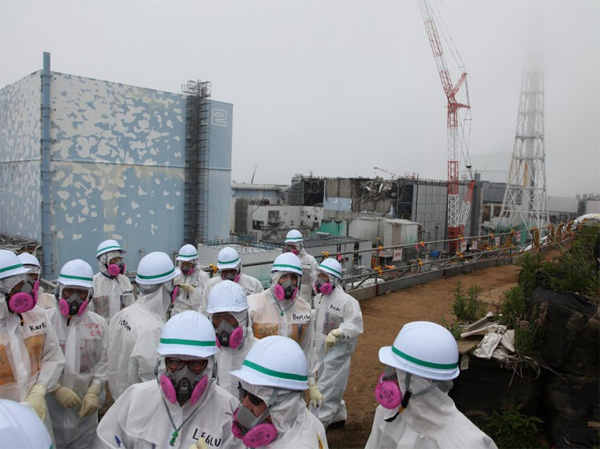 Фото Pallava Baglа