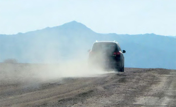 Фото Натальи Домриной