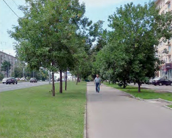 Фото Натальи Домриной