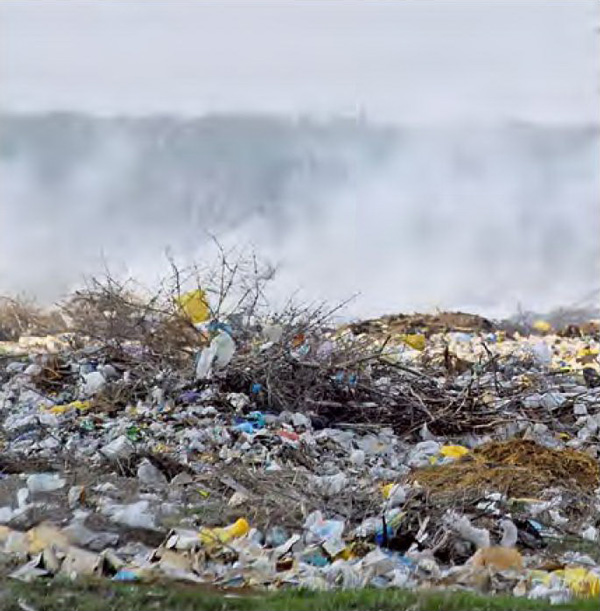 Фото Евгения Константинова