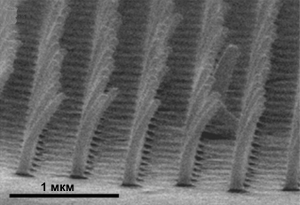 <b>Рис. 9.</b> Наноторубки, согнутые электронным пучком (H. Yoon е.а. <i>Nano Today</i>, 2009, 4, 385–392)