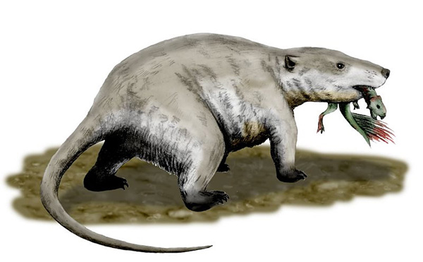 Репеномам с детенышем пситтакозавра в зубах («Троицкий вариант» №3(197), 9 февраля 2016 года)