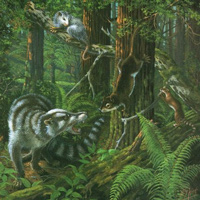 Раннепалеоценовый лес в Вайоминге