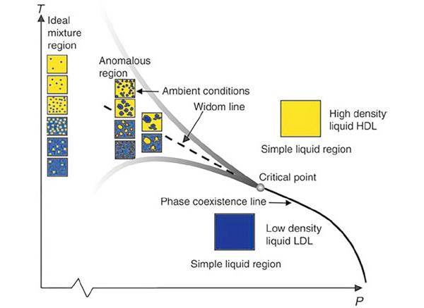 Фазовая диаграмма воды. Область аномальных свойств находится от –42°С (хотя скорее всего еще ниже) до +47°С. В эти рамки попадает почти вся земная жизнь. ВПВ находится со стороны линии Видома при больших температурах и давлениях, чем НПВ. Изображение: <i>Nature</i>