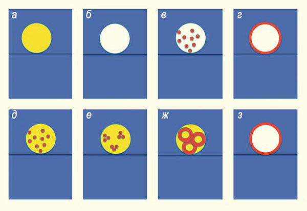 Способы васкуляризации напечатанных трехмерных конструкций («Природа» №2, 2015)