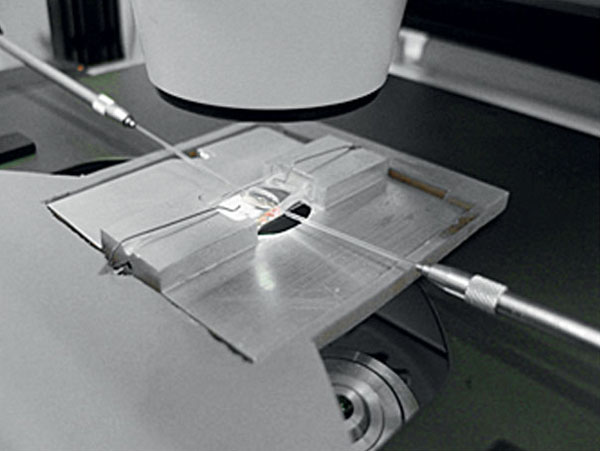 Инъекция ДНК в пронуклеус зиготы («Популярная механика» №4, 2016)