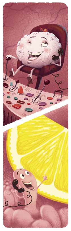 Вкусовой код («Квантик» №7, 2015)