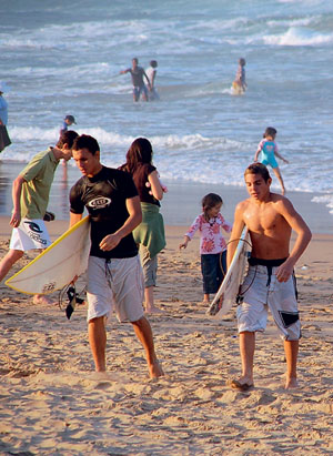 Сентябрь в Дурбане (ЮАР) («Наука и жизнь» №9, 2016)