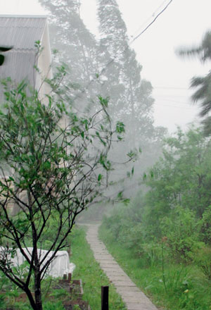 Куда уходит лето? («Наука и жизнь» №9, 2016)