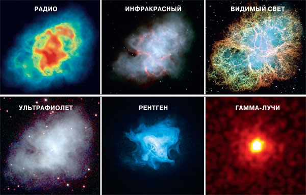 Крабовидная туманность в шести диапазонах электромагнитного излучения («Наука и жизнь» №11, 2016)