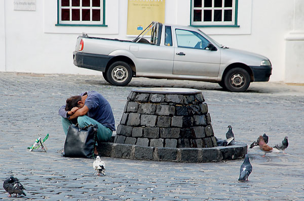 Фото Натальи Домриной («Наука и жизнь» №12, 2016)