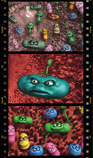 Литические бактериофаги направленно атакуют патогенные бактерии («Наука из первых рук» №4(70), 2016)