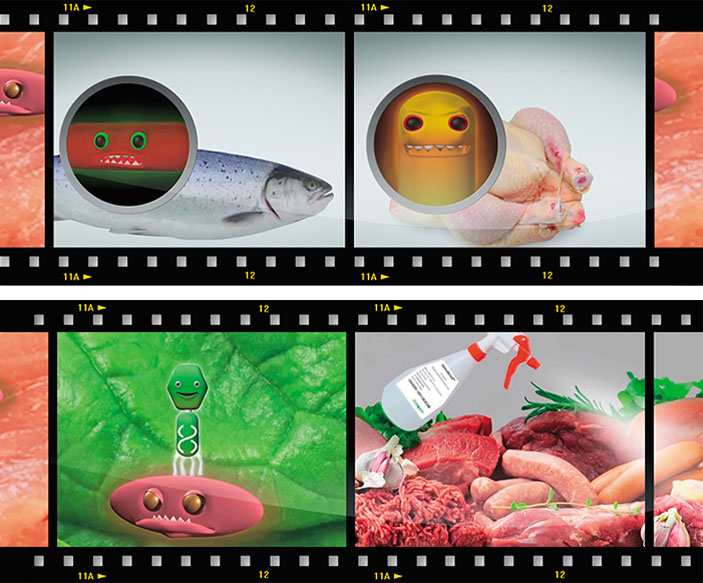 В пищевых продуктах могут содержаться бактерии, вызывающие кишечные инфекции («Наука из первых рук» №4(70), 2016)