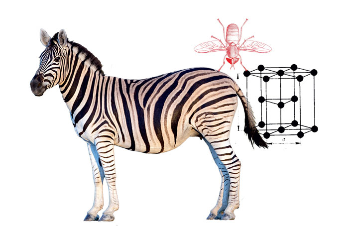 Между Нобелем и Шнобелем («Популярная механика» №12, 2016)