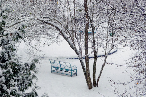 Зима. Фото Натальи Домриной («Наука и жизнь» №1, 2017)