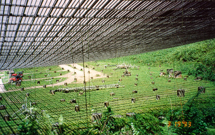 Алюминиевые решётчатые панели, из которых состоит чаша телескопа Аресибо («Квантик» №1, 2016)