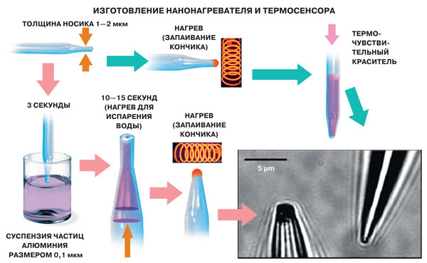 Изготовление нанонагревателя и термосенсора («Наука и жизнь» №3, 2017)