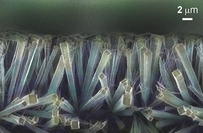 Иглоподобные алмазные кристаллиты пирамидальной формы, сформированные в виде «ёжика»-друзы Иллюстрация Александра Образцова, МГУ («Наука и жизнь» №3, 2017)