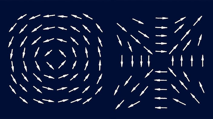 Вихрь и антивихрь в двумерной X–Y модели («Коммерсантъ Наука» №1, октябрь 2016)