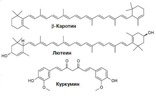Каротиноиды («Химия и жизнь» №1, 2017)